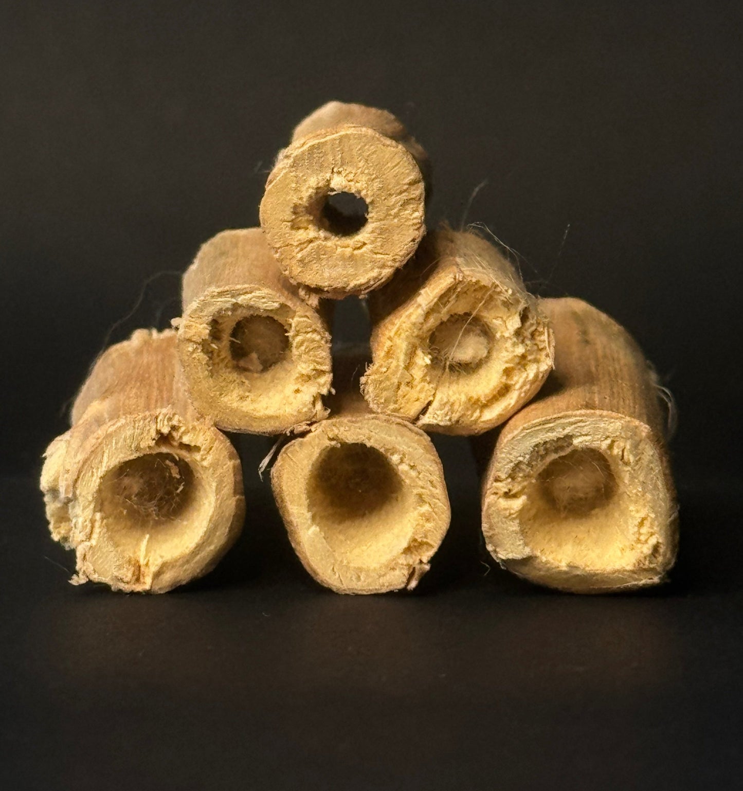 XL HEMP FILTER TIP (50 count)